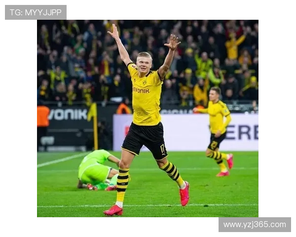 拜耳勒沃库森崛起之路从黑马到德甲冠军的辉煌蜕变 拜耳勒沃库森崛起之路从黑马到德甲冠军的辉煌蜕变