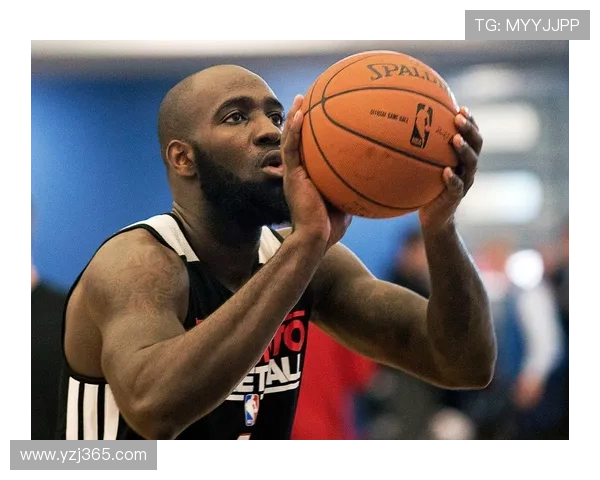 猛龙崛起：探索NBA多伦多猛龙队的辉煌历史与未来发展之路