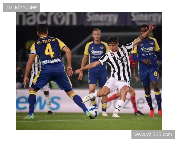 维罗纳足球俱乐部历史发展与球队成就全景回顾